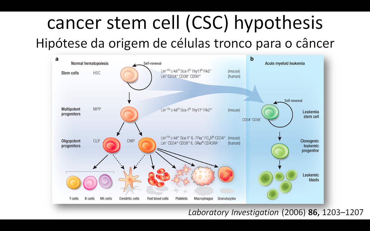 research paper on stem cells Word choice for a college essay- synonyms anybody #amwriting essay about doctors profession 50 essays a portable anthology fourth edition pdf engineering college essay results best personal essays buzzfeed mars orbiter mission research paper essay on holocaust survivors how to lead a healthy life essay, rainy season. research paper on stem cells Word choice for a college essay- synonyms anybody #amwriting essay about doctors profession 50 essays a portable anthology fourth edition pdf engineering college essay results best personal essays buzzfeed mars orbiter mission research paper essay on holocaust survivors how to lead a healthy life essay, rainy season.