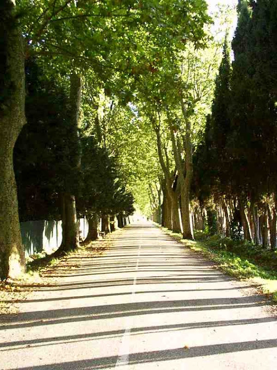 Moments from the Medeival City of Carcassonne