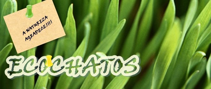 Ecochatos