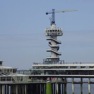 Foto bij 13. What Tom wants to do