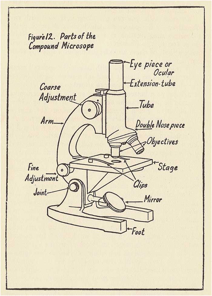 [Microscope(1)]