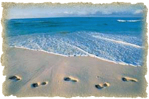 [beachfoot.gif]