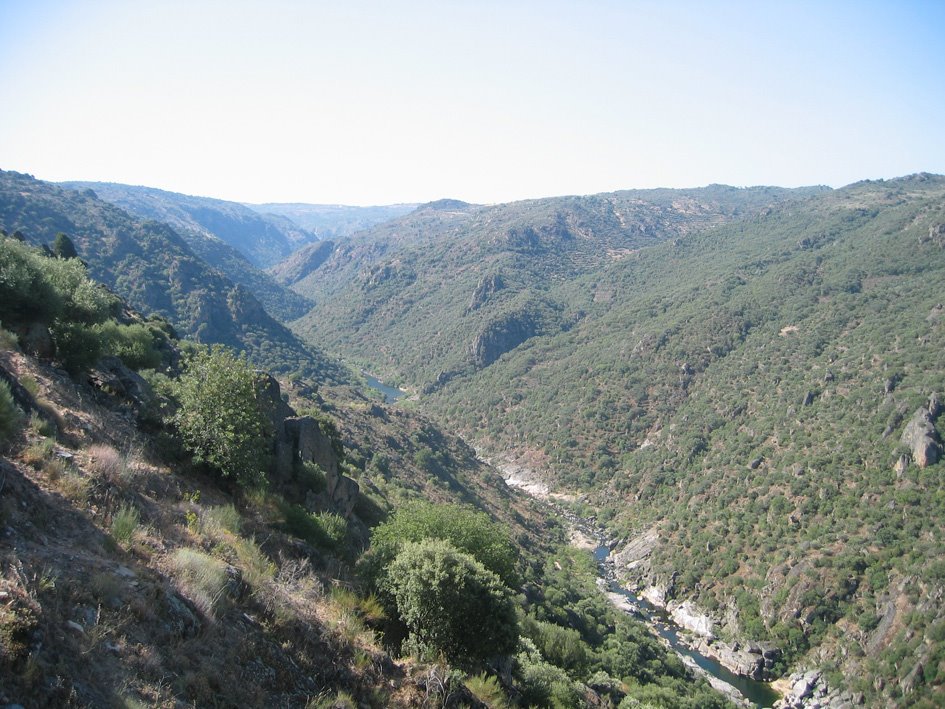 [IMG_0037.JPG]