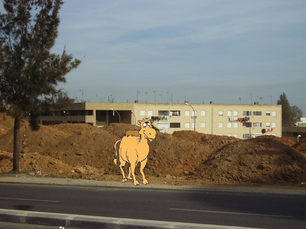 [Casa+da+Camila+(3).JPG]