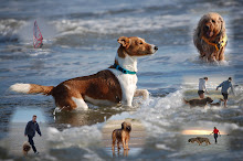 Gartenhunde