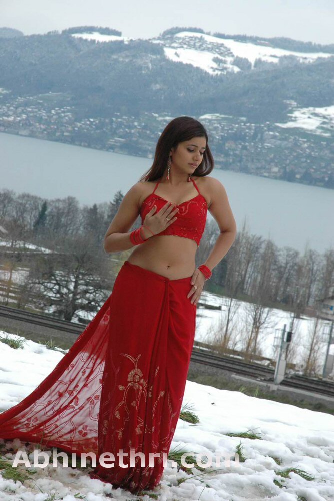 Red HOT Poonam Bajwa Sexy Wallpapers in saree - 9 Pics