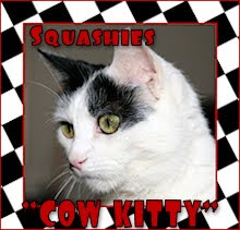 Squashes is a Cow Kitty!