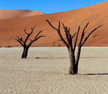 #7 - Sossusvlei & the 300 Foot Dunes of Namibia