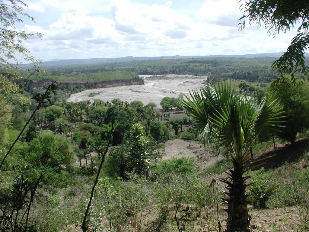 [03LandschapTimorLR.JPG]