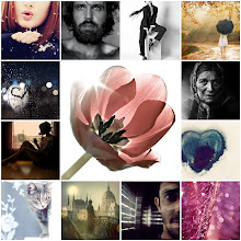 flickr faves