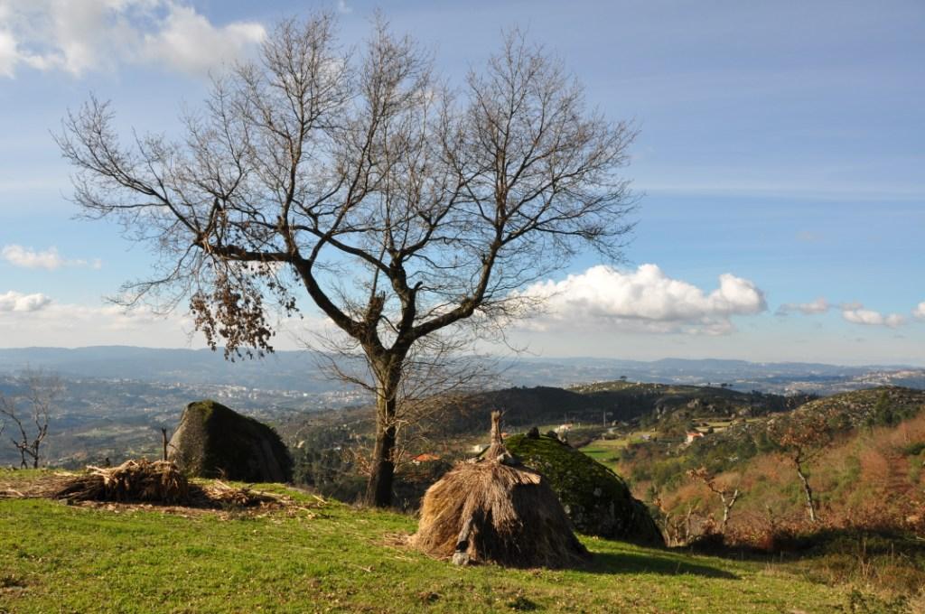 [paisagem.JPG]