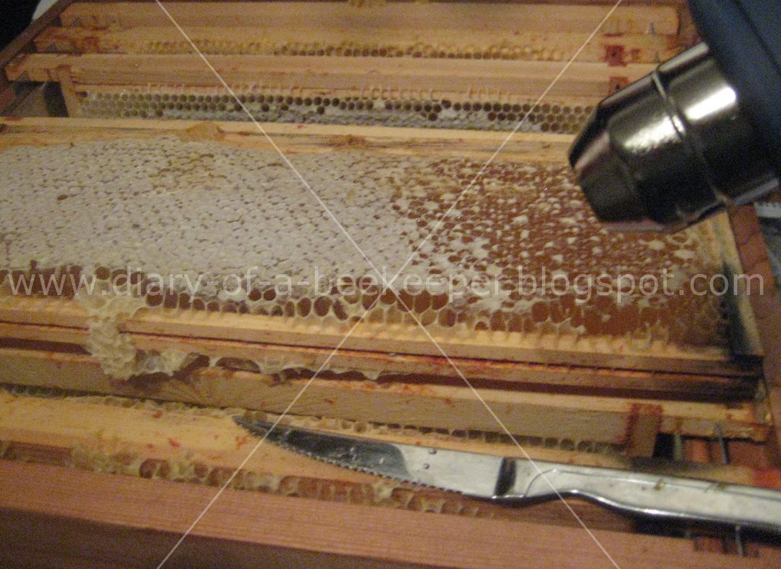 Diary of a Beekeeper The First Real Honey Harvest