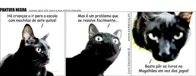 [pne961-7ffa.jpg]