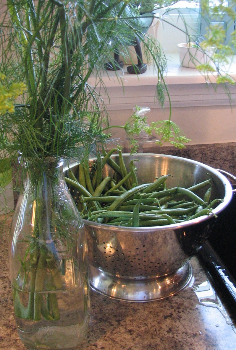 CLEAN MAMA Dilly Beans