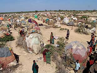 kenya dadaab