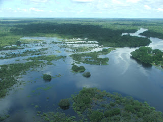 pantanal 