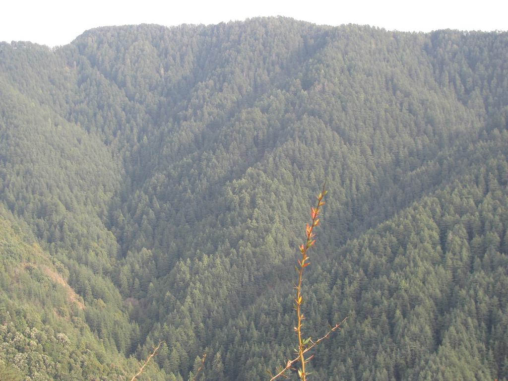 [K1024_img_0473.JPG]