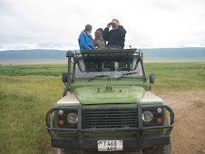 Game viewing safari in Serengeti