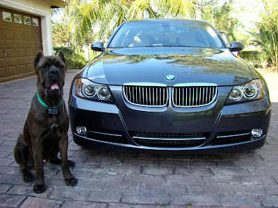 Bmw M3 Wallpaper Hd. BMW M3 m3 wallpaper. Bmw M3 Wallpaper Hd. BMW M3
