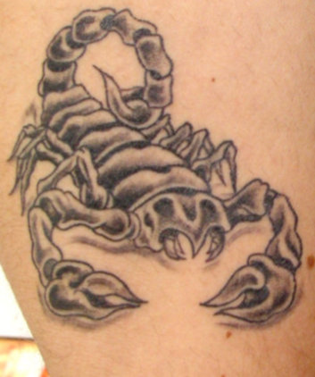 tribal-scorpion.jpg Scorpion Tribal Tattoo Scorpion Tattoos