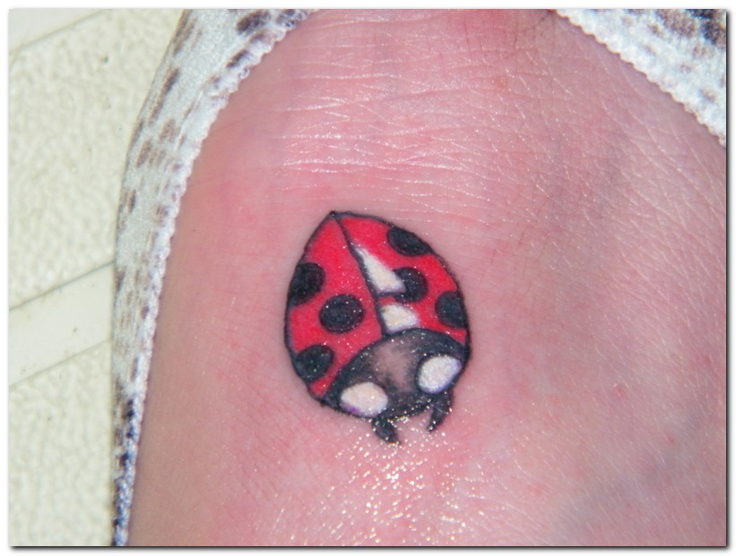 Ladybug tattoo by ~Atsukikia on deviantART ladybug tattoo on foot.
