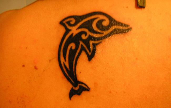 dolphin tattoos. Dolphin Tattoos