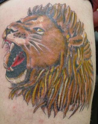tribal tattoos of lions. Lion Head Tattoos