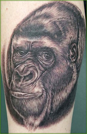 Latest Animal Tattoos