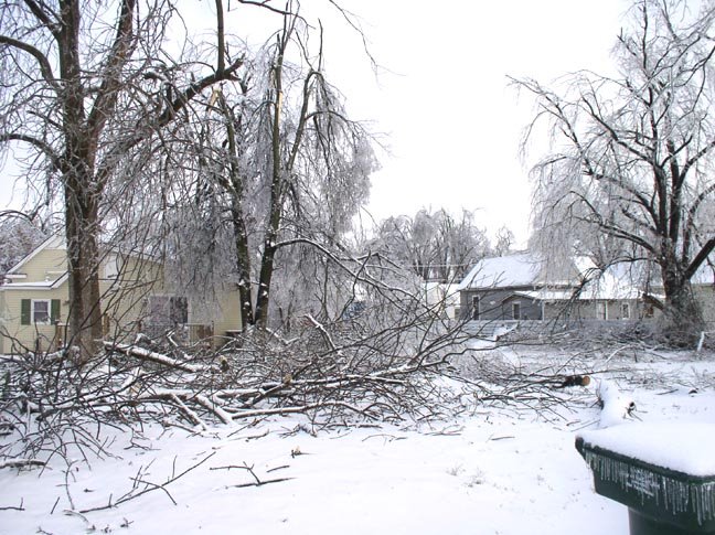[1762+Madison+broken+yard.JPG]