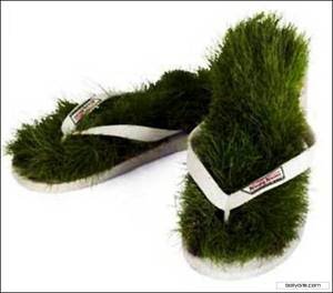 [grass.bmp]