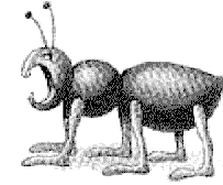 FireAnt