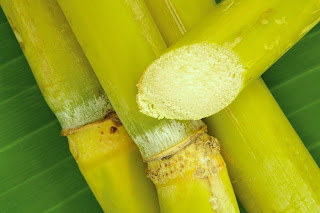 http://1.bp.blogspot.com/_bQekxSdgAO0/TEag9dbL4OI/AAAAAAAAAAM/xvre6Yg7l78/s1600/bigstockphoto_Tropical_Raw_Sugar_Cane_1785700-720055.jpg