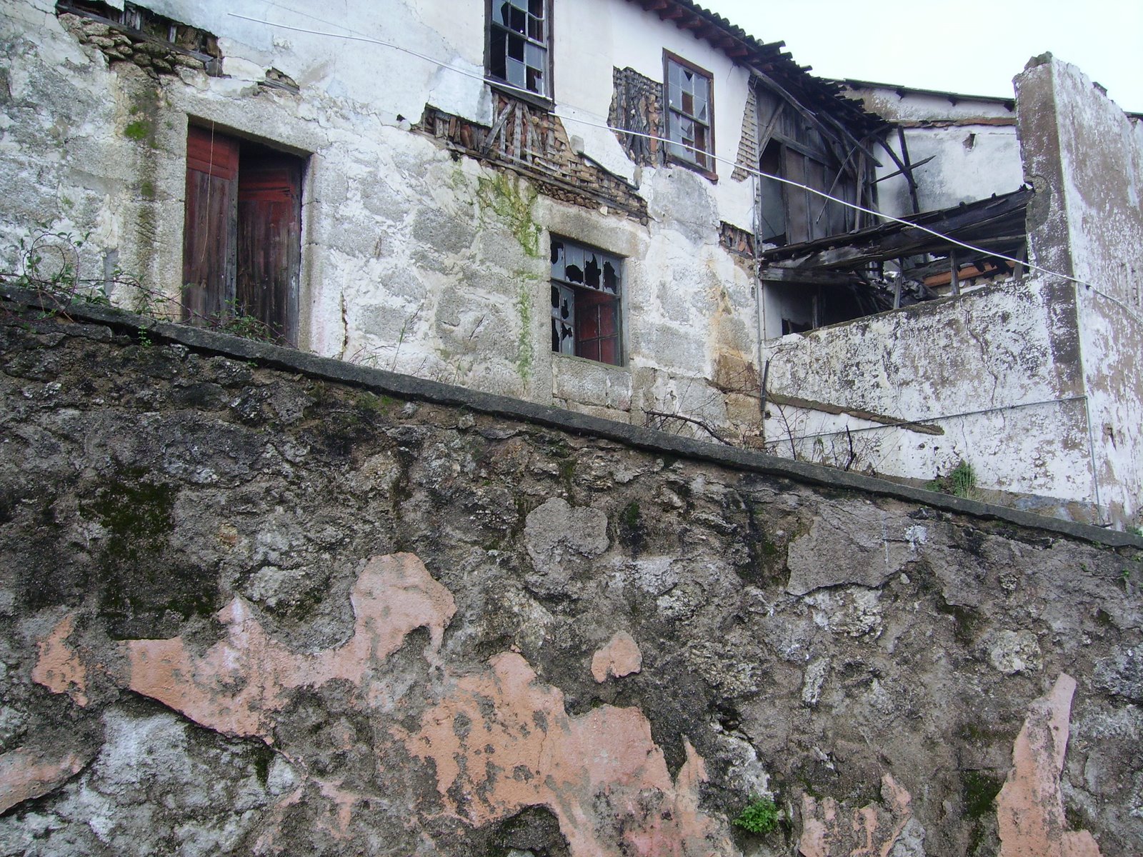 [IMGP2102.JPG]