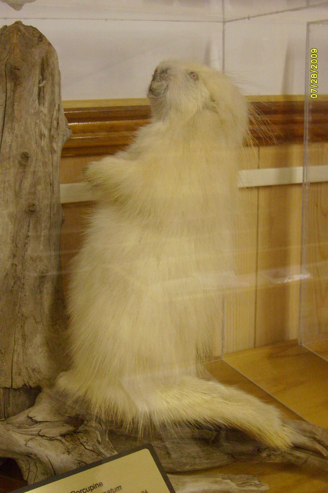 [S6300533.JPG]