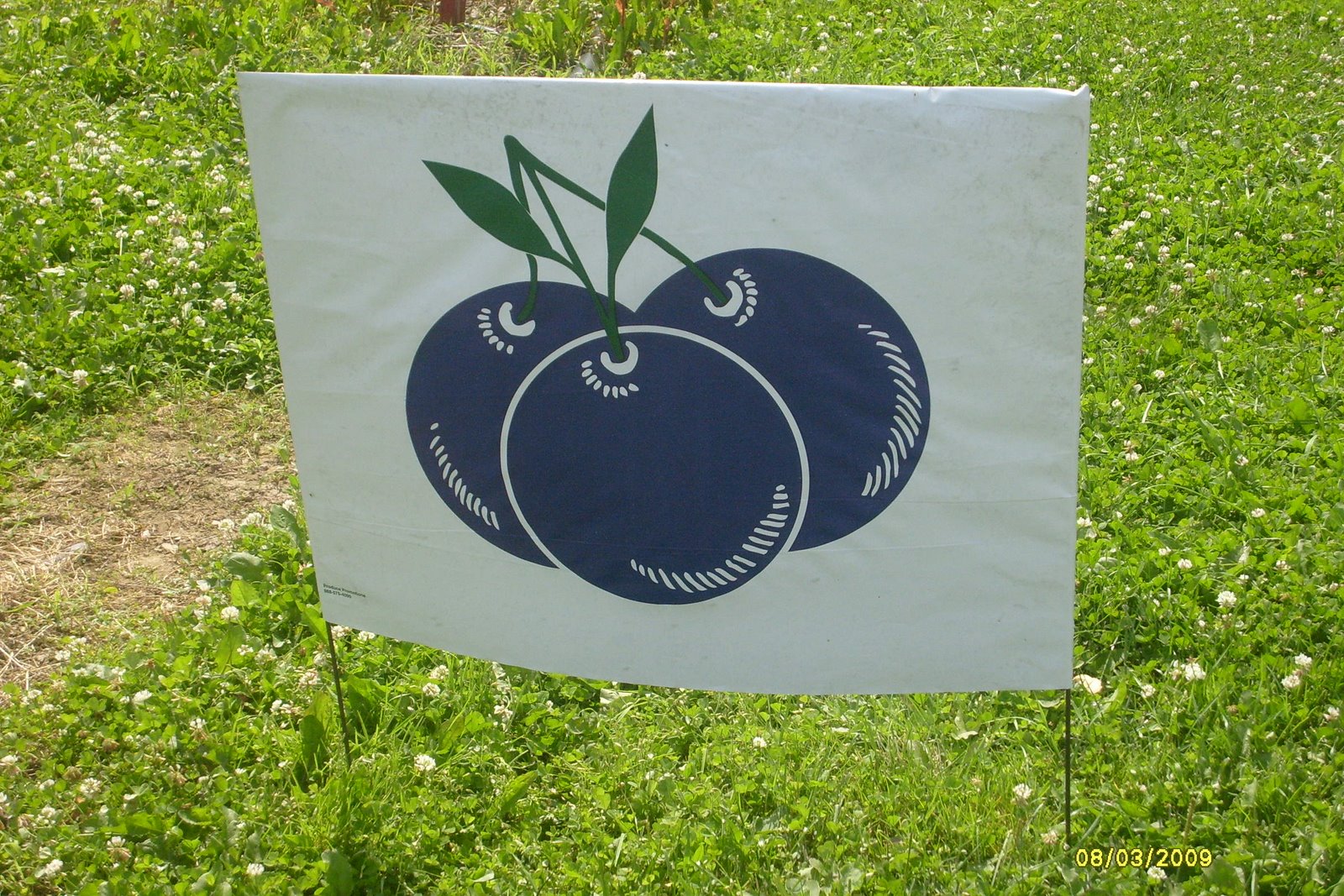 [S6300556.JPG]