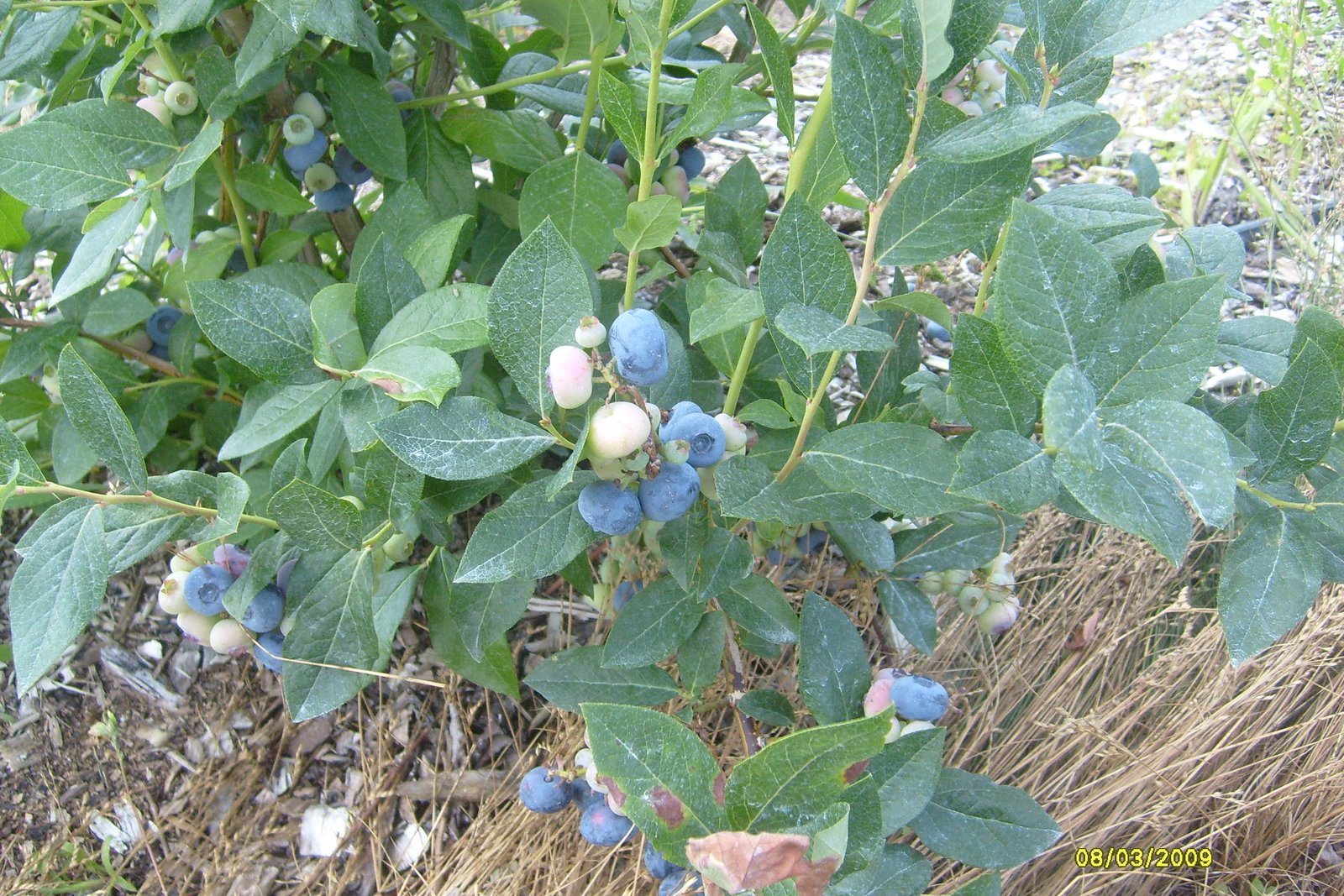 [S6300550.JPG]