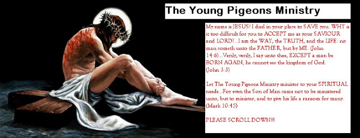 The Young Pigeons Ministry