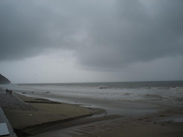 [DSC02231_1.JPG]