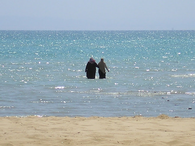 Un baño en el Mar Rojo