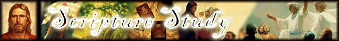 Scripture Study