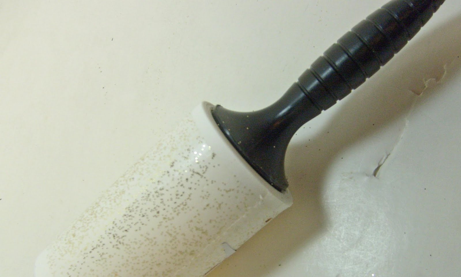 [S6302359.JPG]
