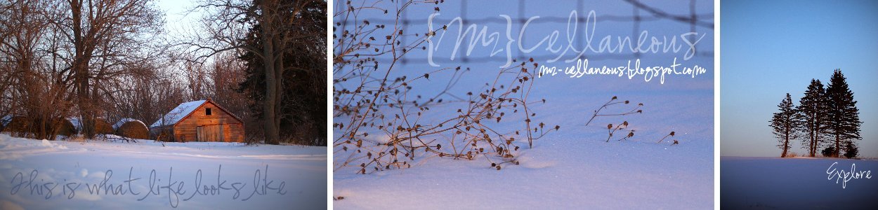 Mz-Cellaneous - Maryville Missouri Photographer