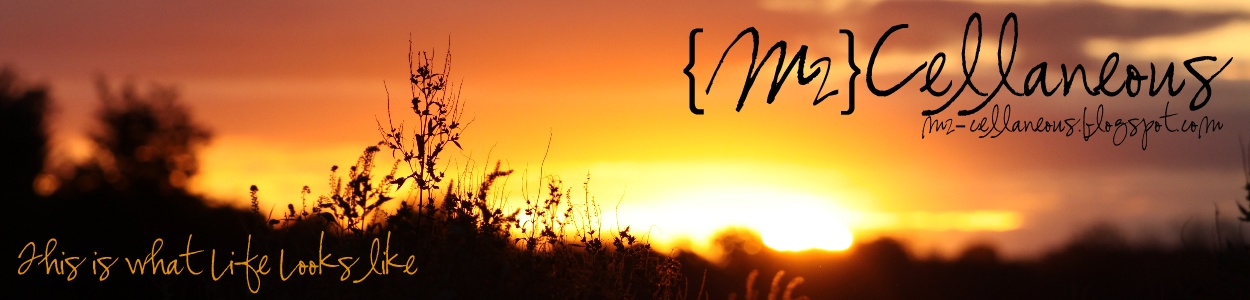 {Mz}Cellaneous - Maryville Missouri Photographer