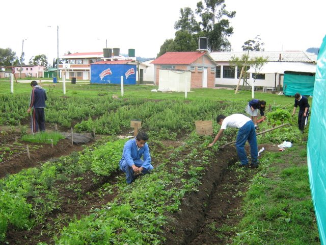 Jovenes Rurales 2007