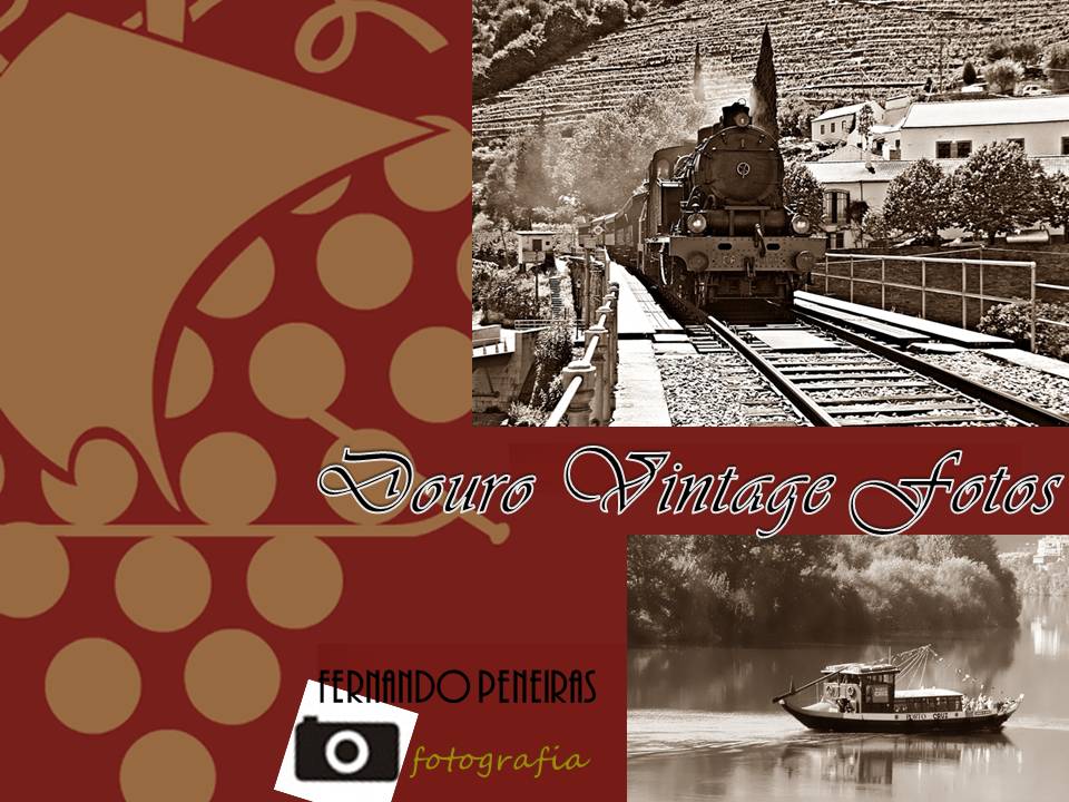 Douro Vintage Photos