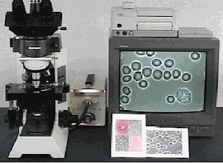 external image 05.jpeg