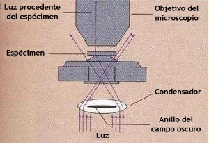 external image 06.jpg