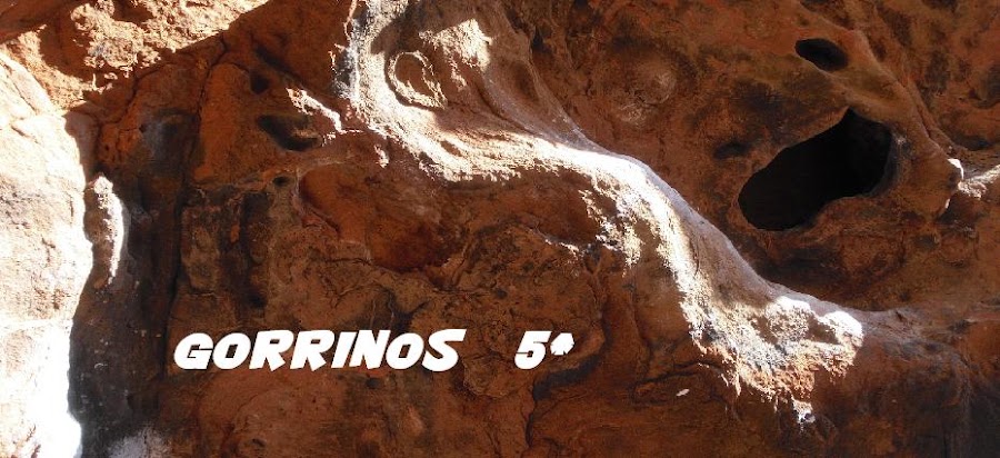 Gorrinos 5*
