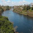 waikato river!