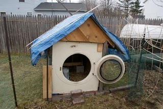 Dog House Chicken Co-op